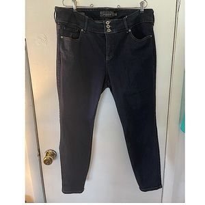Torrid Skinny Jean